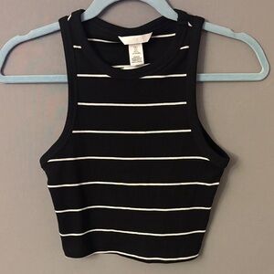 H&M Brand New Striped Crop Top